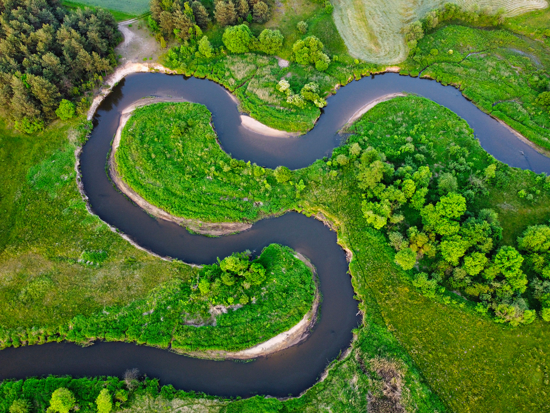 Pilica River